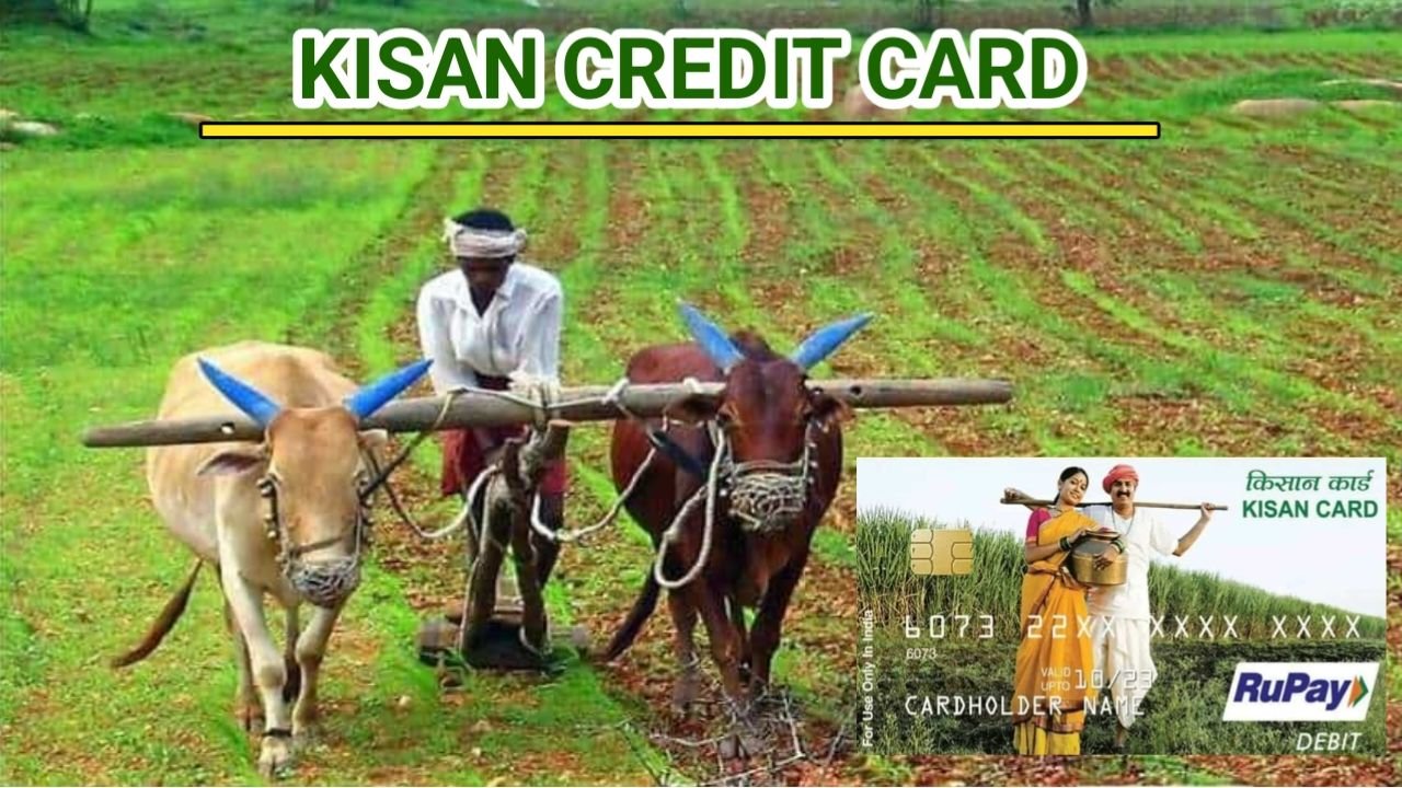 Kisan Credit Card 2024 अब पीएम किसान योजना के लाभार्थियों को मिलेगा किसान कार्ड योजना का लाभ जाने क्या है पूरी रिपोर्ट, New Best Link