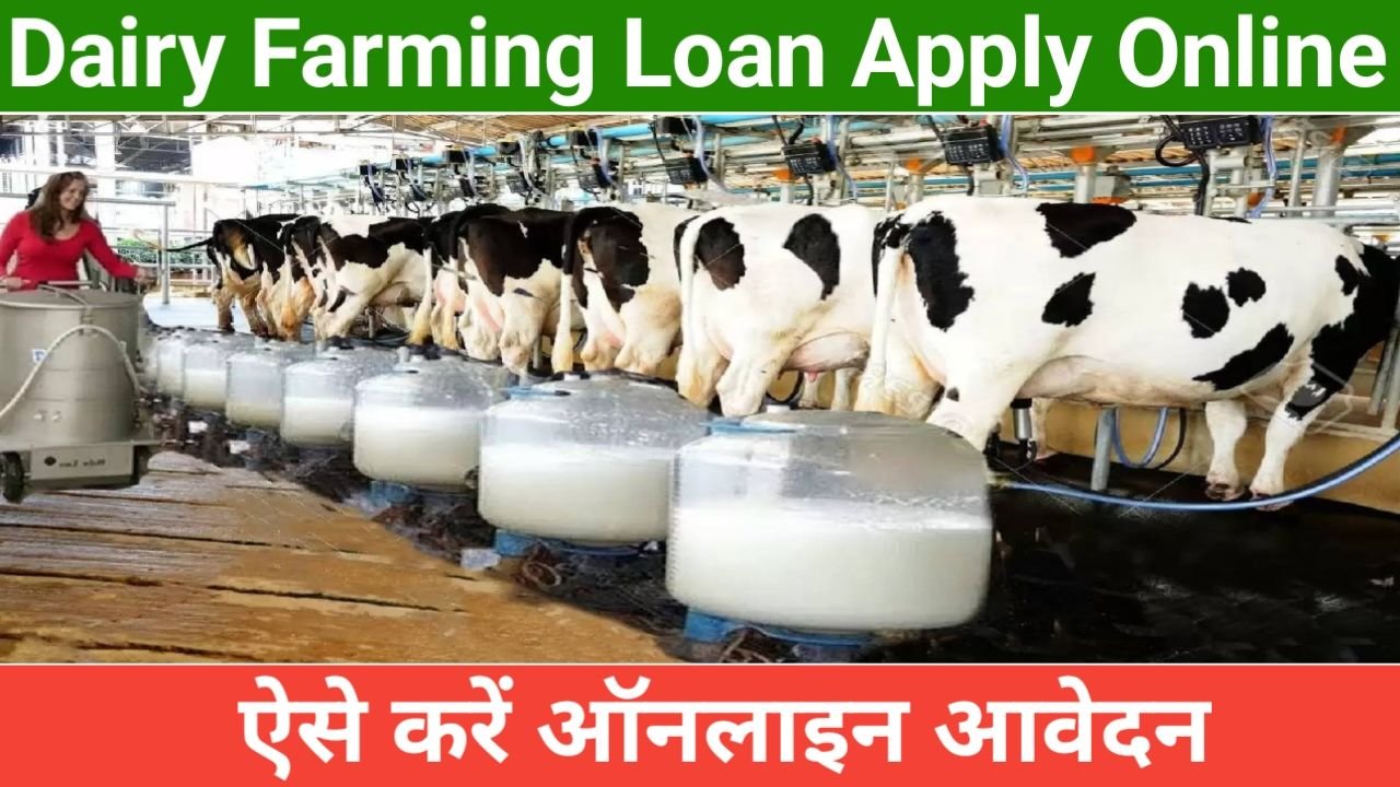 Dairy Farming Loan Apply Online डेयरी फार्म शुरू करने के लिए ले सकते हैं 10 लाख तक का लोन यहां जाने कैसे, New Best Link